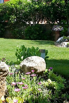 Apartment Drpic Krk