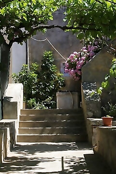 "apartmanok Parkolóhellyel Mali Losinj, Losinj - 8059 Mali Losinj"