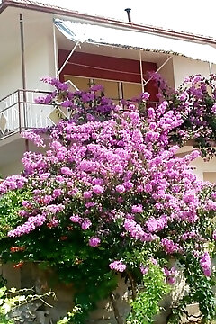 Apartments Kostovic Vinisce